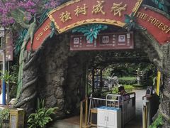 -独树成林