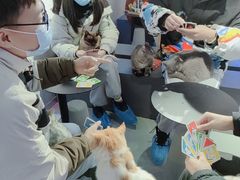 -极木²邸 人与宠物·互动社区