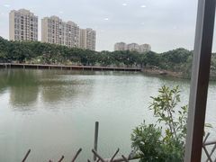 -顺德美食坊(南沙分店)