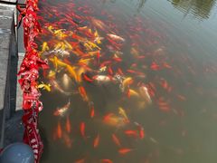 -狼山风景名胜区