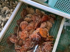 -公寓家常菜馆(海军博物馆店)