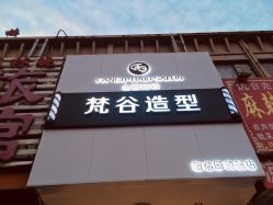 点击看大图 -茗梵谷造型