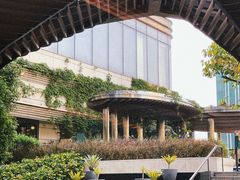 -Elephant Grounds(STARSTREET)