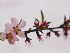 -白塘生态植物园