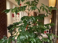 -领事馆19号中餐厅(厦门海景洲际酒店)