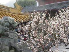 -普陀山风景名胜区-法雨禅寺