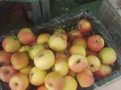 -四季水果蔬菜园(闽江路店)