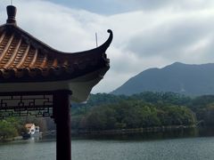 -深圳仙湖植物园