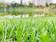 -西南林业大学(白龙校区)