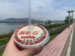 -谢怀亮芝麻茶