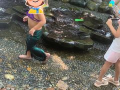 -成都市活水公园