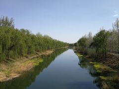 -东郊湿地公园
