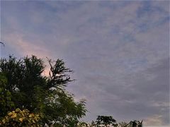 -维乐口腔医院(星海湾分院)
