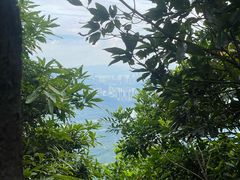 -阳台山森林公园