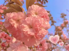 -咸阳湖景区-统一广场