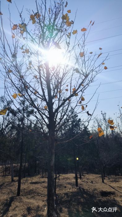 白水寺森林公园图片
