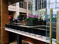 -上海外滩茂悦大酒店