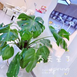 点击看大图 -1R日式轻奢美睫美甲翘睫