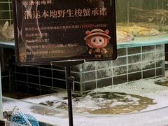 -浩运海鲜·16年专注青岛菜(石老人店)