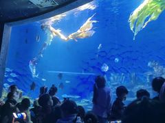 -海合安武汉极地海洋公园