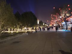 -大雁塔北广场音乐喷泉
