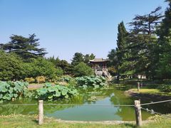 -国家植物园南园