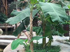 -杭州开元森泊度假乐园