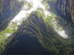 -梭布垭石林景区