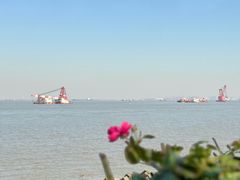 -上海滨江森林公园