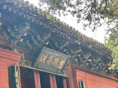 -洛阳白马寺