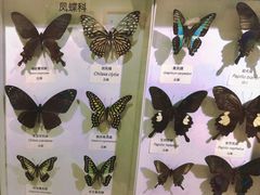 -中国湿地博物馆