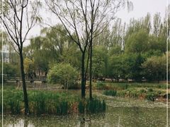 -将府公园