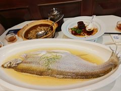 太雕蒸白水鱼-席家花园(巨鹿花园店)