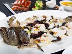 姜葱头抽蒸深海斑-酌宴府The China Club·广州万富希尔顿酒店(云城东路店)