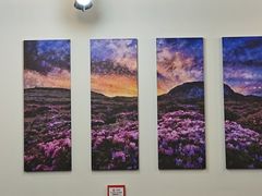 -莲洞本家