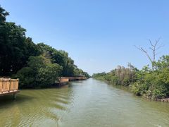 -大湾区中央湿地公园