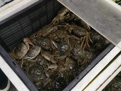 -岳各庄批发市场(西四环中路店)