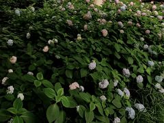 -常州古运河南大街文化旅游区-人民公园