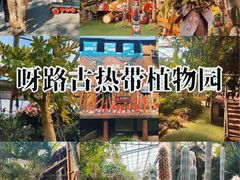 -呀路古热带植物园