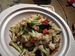 -鸽子窝(青塔店)