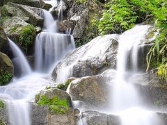 -长沙黑麋峰国家森林公园