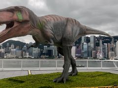 -海港城