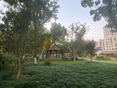 -墨池公园