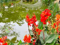 -人民公园(罗湖区)