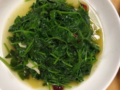 -老字号怡玺·藿香雅鱼(20年雅安店)