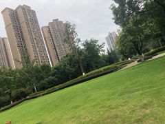 -龙头寺公园
