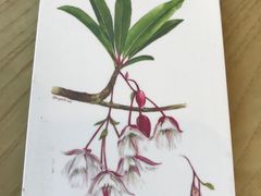 -阿瓦尼河滨曼谷酒店