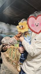 -Zoolung Zoolung动物主题公园(海信广场店)