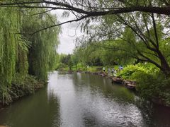 -上海滨江森林公园
