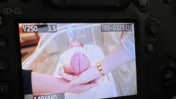 -Angel Fish photography 儿童摄影工作室(亚运村店)